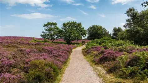 Dunwich, Suffolk